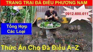 Tổng Hợp Các Loại Thức Ăn Cho Đà Điểu, PHUONG NAM TV, Trang Trại Đà Điểu Phương Nam