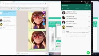 Программа для рассылки Whatsapp 2019