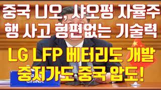 중국 니오, 샤오펑 자율주행 사고 형편없는 기술력 LG LFP 베터리도 개발중 저가도 중국 압도!