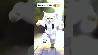 #cat dance short# viral# #popular  #catlover #animals #cute #funny #dance #pet short#viralshort 