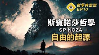 愛因斯坦：我只相信斯賓諾莎的神️ 斯賓諾莎哲學介紹：人如何實現真正的自由？自然即是上帝？什麼力量在阻礙人類的自由？如何超越人性枷鎖？《倫理學》哲學爽歪歪EP10