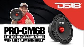 DS18 PRO-GM6B 6.5" Mid-Range Loudspeaker with Bullet