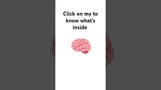 click on my brain to know what's inside| Shaaf player