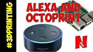 How To Set up OctoPrint with The Amazon Echo (Home Automation)