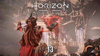 Horizon Forbidden West   13