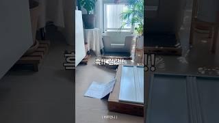 #베란다없는거실 철제선반 화분정리하기 #전세집인테리어 #집꾸미기
