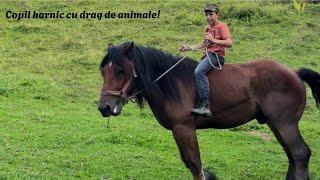 Copil cu drag de animale!