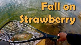 Fall Fly Fishing on Strawberry + Announcement!!!