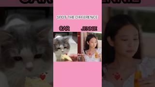 Jennie cat mantra #jennie #blackpink #kimjennie #apt #jenniestyle #cat #shorts #trending #igloo