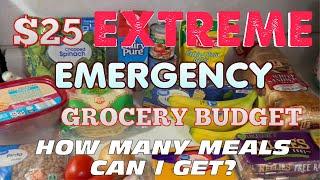 $25 EXTREME EMERGENCY GROCERY BUDGET | FAMILY OF 5 | HOW MANY MEALS WILL IT GET?