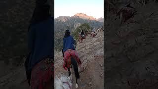 Epic Nomadic Migration: Bakhtiari Women Riding Horses Through the Mountains!  #BakhtiariNomads