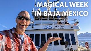 UnCruise Adventures Sea of Cortez Expedition on Safari Voyager