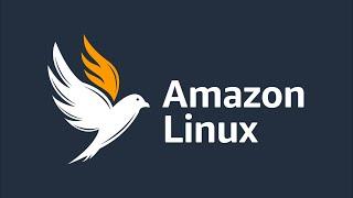 Amazon Linux，专为AWS云服务优化的操作系统