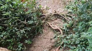VISITANDO UNA CASCADA /OBJETIVO  DESEARLES  FELIZ NAVIDAD  ( Saltos Rosa Mística )