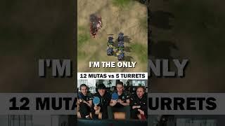 12 MUTALISKS vs 5 TURRETS - Who would win STARCRAFT II EDITION