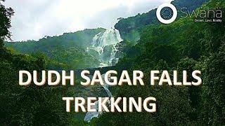 Dudhsagar Waterfall | Sea of Milk | Trekking | India's tallest waterfalls