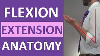 Flexion and Extension Anatomy: Shoulder, Hip, Forearm, Neck, Leg, Thumb, Wrist, Spine, Finger