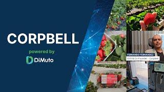 Revolutionizing the Strawberry Supply Chain Through the DiMuto x Corpbell Partnership