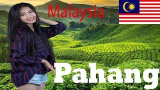 Top 10 Places to visit Pahang, Malaysia 