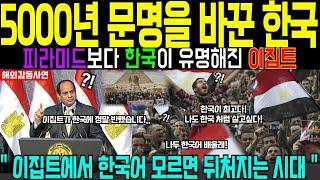 [해외감동사연] 전 세계에서 한국화 속도가 제일 빠른 나라, 한국의 이것이 기적을 만들어 난리난 상황