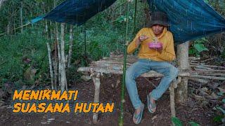 Solo Camping di Hutan rimba