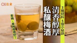 【梅酒食譜】私釀梅酒5個不敗秘訣　清香醇厚青梅黃梅哪樣好？｜01教煮