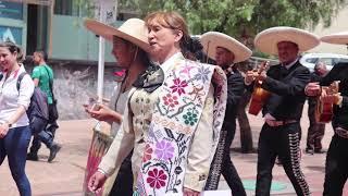 FESTIVAL Del MARIACHI En COLOMBIA - 2019 Recopilación