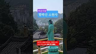 #부산 기장 정관 소원사