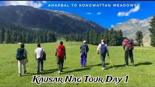 Kausar Nag Alpine Lake Tour Day 1 Aharbal To Kongwattan Meadow.#explore #nature #lake #trekking #sky