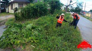 We TRANSFORMED This Lady’s Old CHILDHOOD Homes OVERGROWN Yard