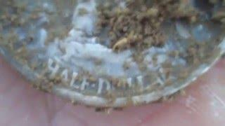1-7-16 E-trac Metal Detecting Old Park - Live Silver Dig -  6 Silver Coins For The Day