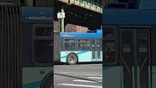 MTA: 2017 New Flyer XD60 Xcelsior Articulated 6087 Q44-SBS To Jamaica Via Main St | 12/12/2024