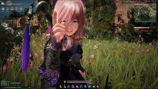 Black Desert Online Tips All Emotes and Chat Integration System