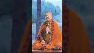 HẠNH PHÚC TRONG HIỆN TẠI - Sư Minh Niệm #dondeptamhon #nammoadidaphat #minhniem