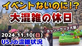 【USJ今の休日がヤバい‼︎】ハロウィンが終わってもまだまだ混雑‼︎アトラクションの待ち時間まとめ‼︎ヨッシーの新作グッズが可愛すぎ2024年11月10日日曜日ユニバーサルスタジオジャパンの混雑状況