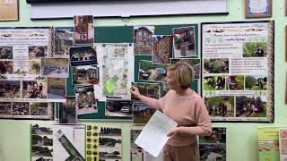 Школа ландшафтного дизайна "Терра". Защита эскизных проектов.
