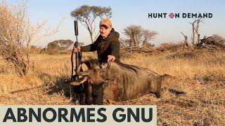 @jagdkrone in Namibia Otjiruze – Hunt on Demand Ausschnitte