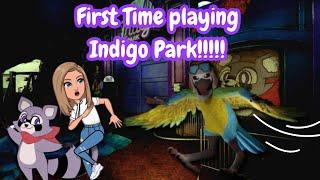 First time playing Indigo Park!!