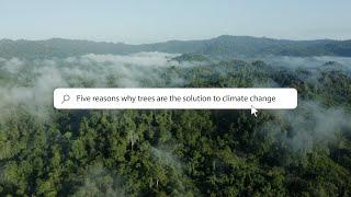 Five reasons why trees are a solution to the climate crisis  - #Trees4Resilience