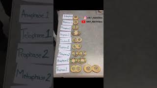 Cell Division | Cell cycle | Cell the unit of life | Cell unit | Cytology