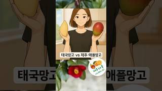 제주감귤농장 제주다움 제주애플망고&태국망고 010.8841.1187