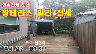 NO322[왕테라스 신현리 빌라전세]타운앤280 반련견 함깨 해요 공실 빠른 입주 매매는 3억4천 선택