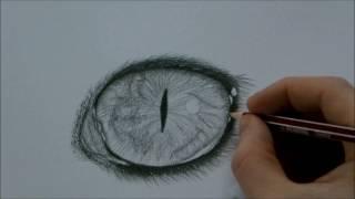 How To Draw a Cat Eye Step By Step By EdgarsArt