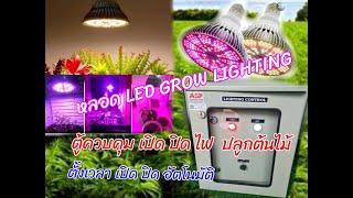 ตู้ควบคุม ระบบ หลอดไฟ สำหรับ ปลูกต้นไหม้   ภายในอาคาร   LED GROW LIGHTING