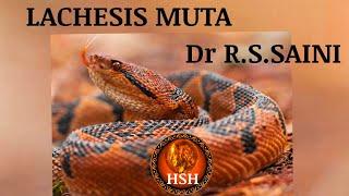 LACHESIS MUTA -  Dr R. S. SAINI  @hsh_homeopathy