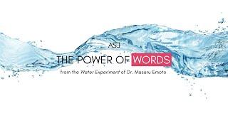THE POWER OF WORDS | ALAN STEWART JR.