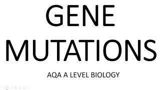 GENE MUTATIONS (A2) - AQA A LEVEL BIOLOGY + EXAM QUESTIONS RUN THROUGH