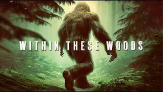 “Within These Woods” | 2024 Bigfoot Video (Cinematic Sasquatch Presentation)