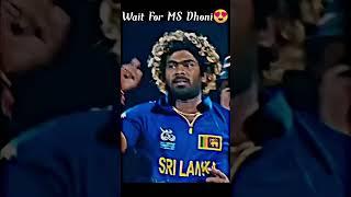 Wait for MS Dhoni 