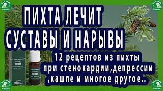 ПИХТА ЛЕЧИТ СУСТАВЫ И НАРЫВЫ.| 12 рецептов из пихты при стенокардии,депрессии,кашле и многое другое.